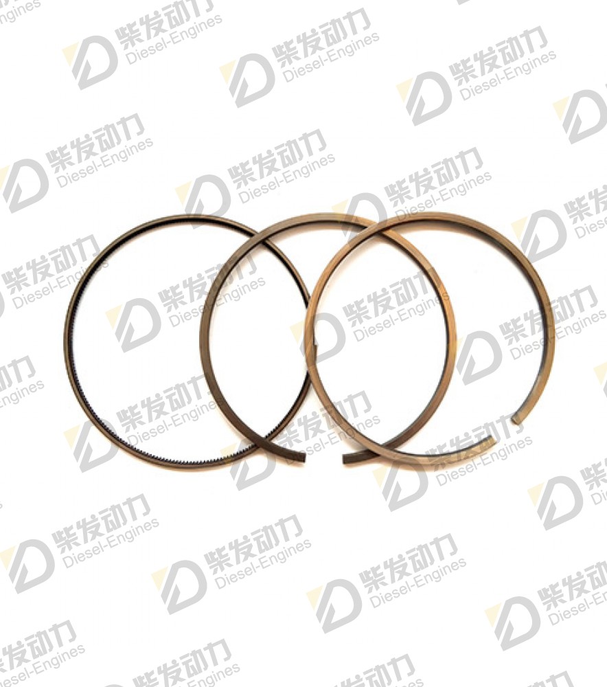 Piston ring kit 3886753 
